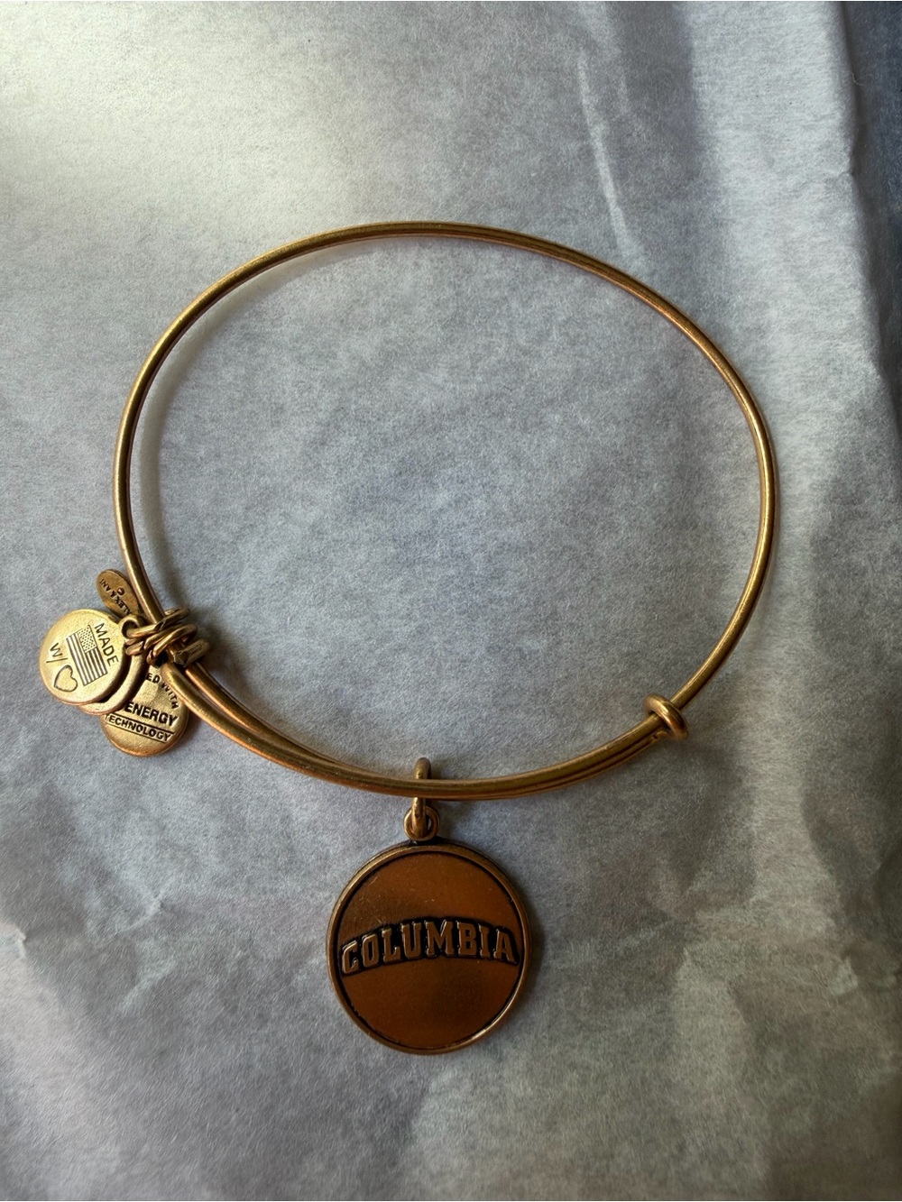 Alex and Ani Columbia University Bangle Bracelet